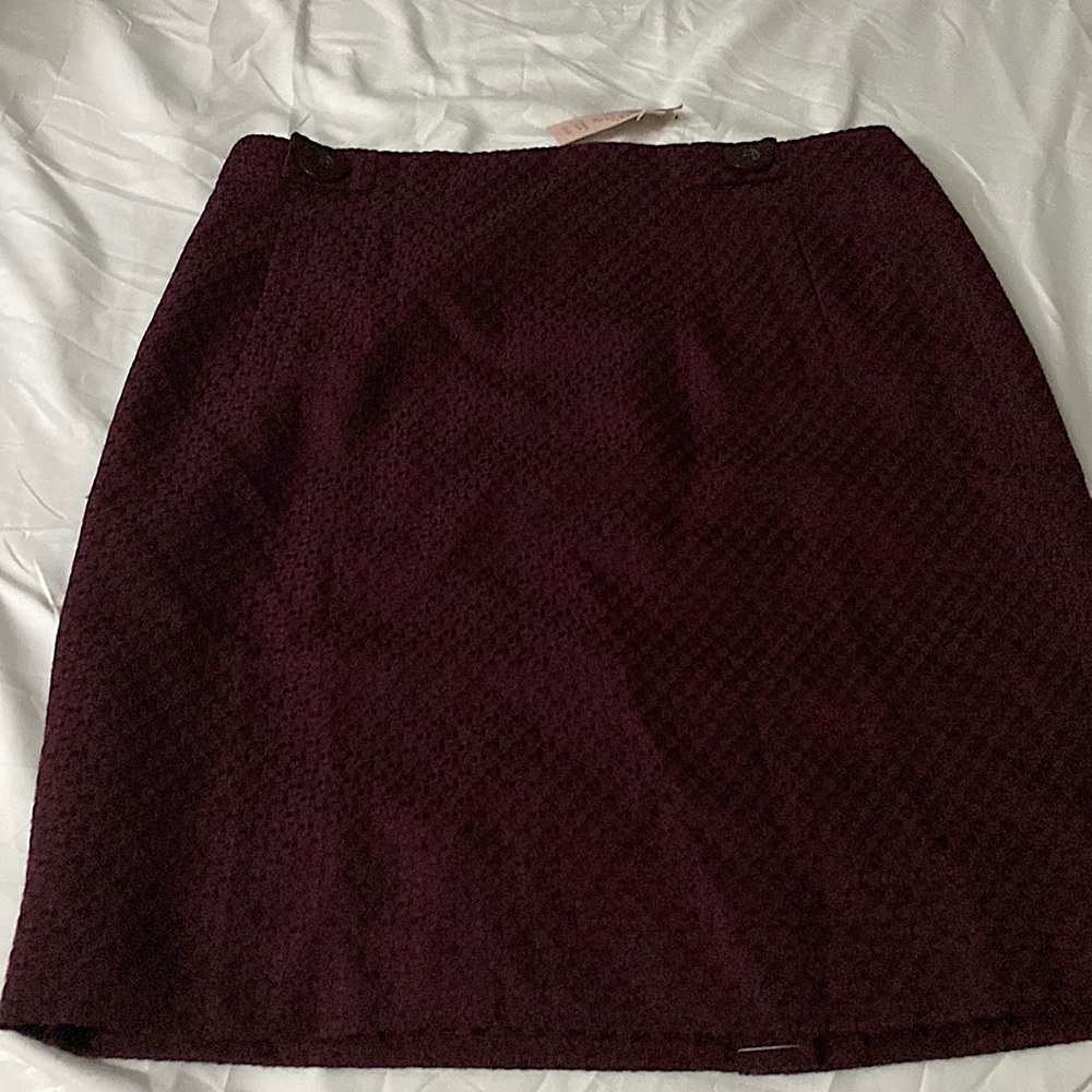 Ann Taylor petite skirt. Brand new with tags. Smoke& Pet free home